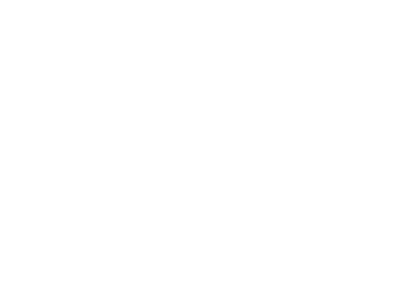 BalletMet White Logo