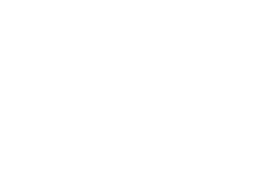BalletMet The Nutcracker | Influencer Campaign banner